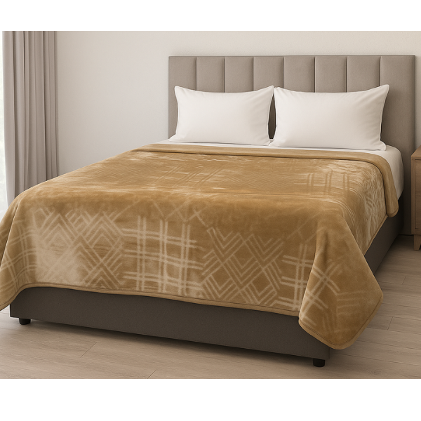 1Ply Silver Embossed Solid Mink Blanket - Queen