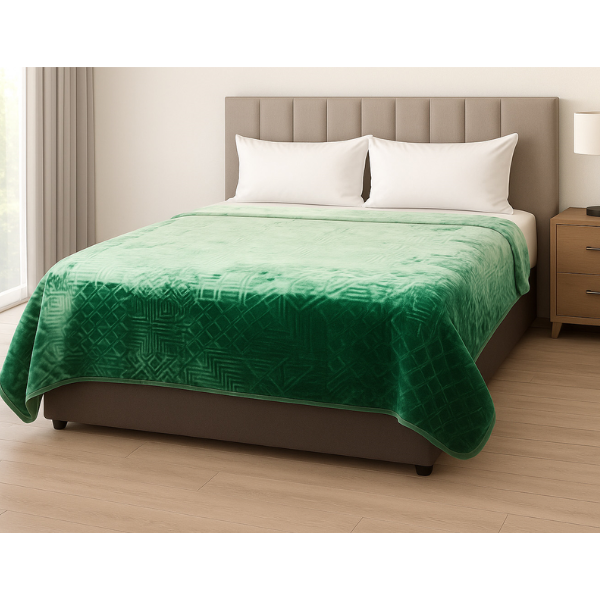 1Ply Silver Embossed Solid Mink Blanket - Queen - Image 16