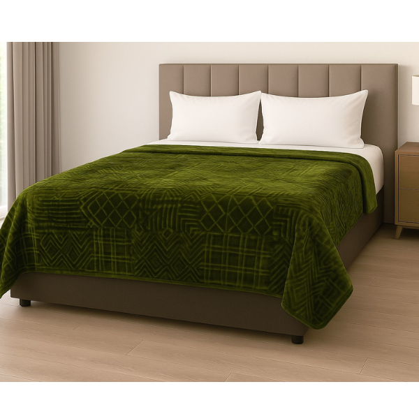 1Ply Silver Embossed Solid Mink Blanket - Queen - Image 22