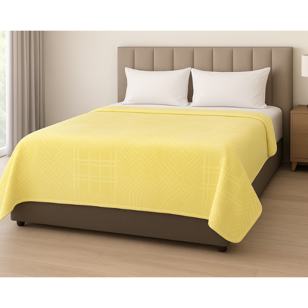 1Ply Silver Embossed Solid Mink Blanket - Queen - Image 25