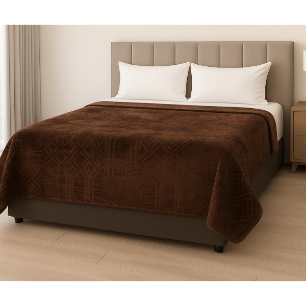 1Ply Silver Embossed Solid Mink Blanket - Queen - Image 4