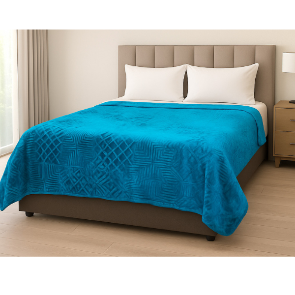 1Ply Silver Embossed Solid Mink Blanket - Queen - Image 7