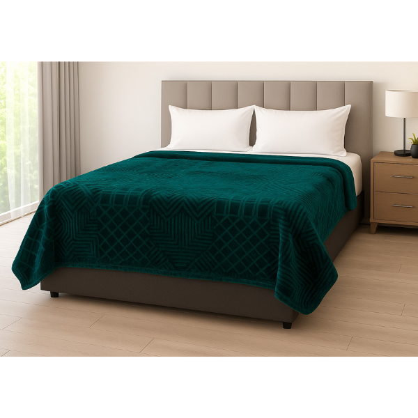 1Ply Silver Embossed Solid Mink Blanket - Queen - Image 10