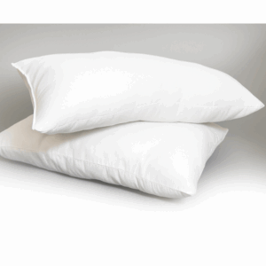 2PK Affordable STD Pillow